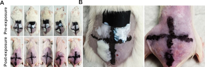 figure-results-3 figure-results-3