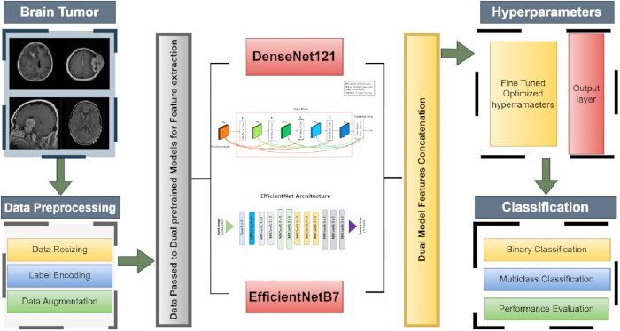 figure-protocol-1 使用 DenseNet121、EfficientNetB7、预处理和特征提取的脑肿瘤分类示意图