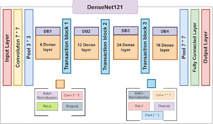 figure-protocol-3 DenseNet121 架构图,详细展示各层、密集块、批归一化和 ReLU 激活函数。