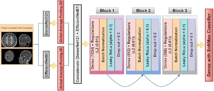 figure-protocol-5 MRI图像分类,神经网络示意图;DenseNet121,EfficientNetB7;深度学习工作流程。