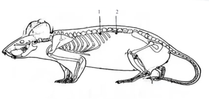 figure-results-1