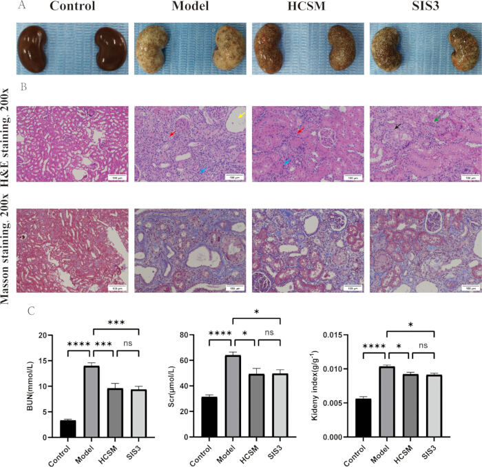 figure-results-3
