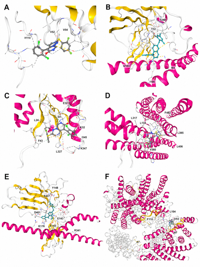 Protein-ligand interaction diagrams detailing amino acid bonds and structural conformations.