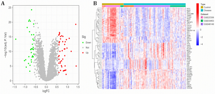 Volcano plot and heatmap for differential gene expression analysis; includes logFC and p-value data.