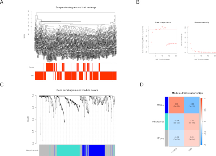 Gene expression analysis; dendrogram and heatmap diagrams; trait-module correlation; biological data.
