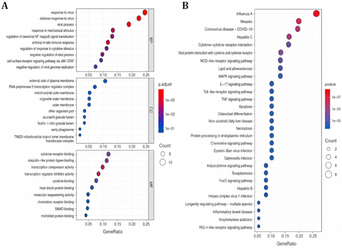 Gene enrichment analysis; dot plot charts showing gene ratio and term significance; biological pathway categorization; visual comparison; count and p-value data.