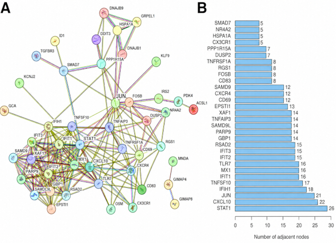 Protein interaction network diagram and bar chart showing node connectivity data analysis.