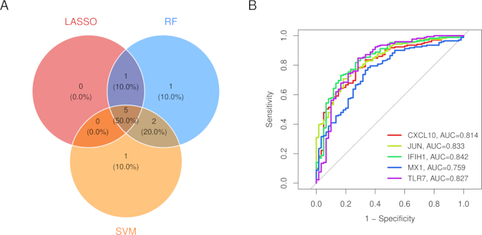 Venn diagram and ROC curve comparing LASSO, RF, SVM methods in gene expression analysis.