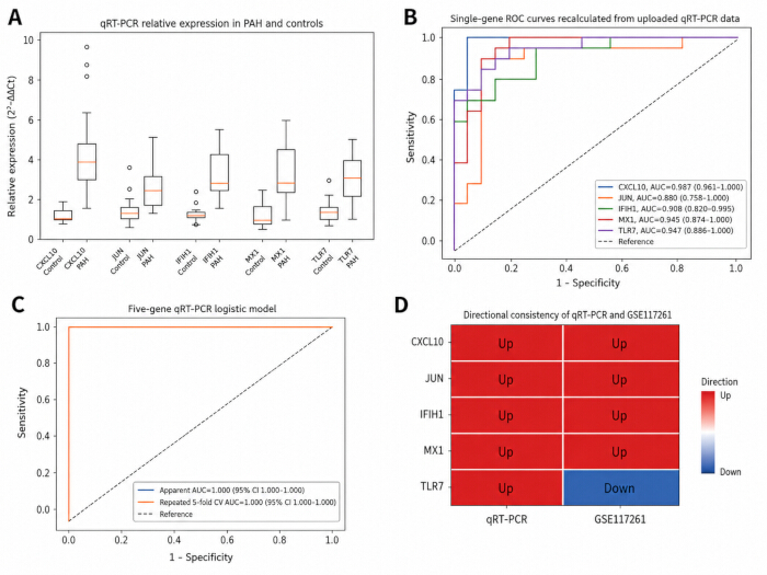 qRT-PCR analysis: A) Relative expression box plot; B) ROC curves; C) Logistic model plot; D) Gene consistency heatmap.