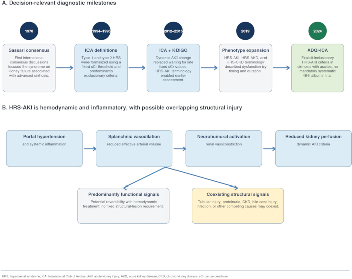 HRS-AKI diagnostic milestones timeline and mechanisms diagram; hemodynamic, structural signals.