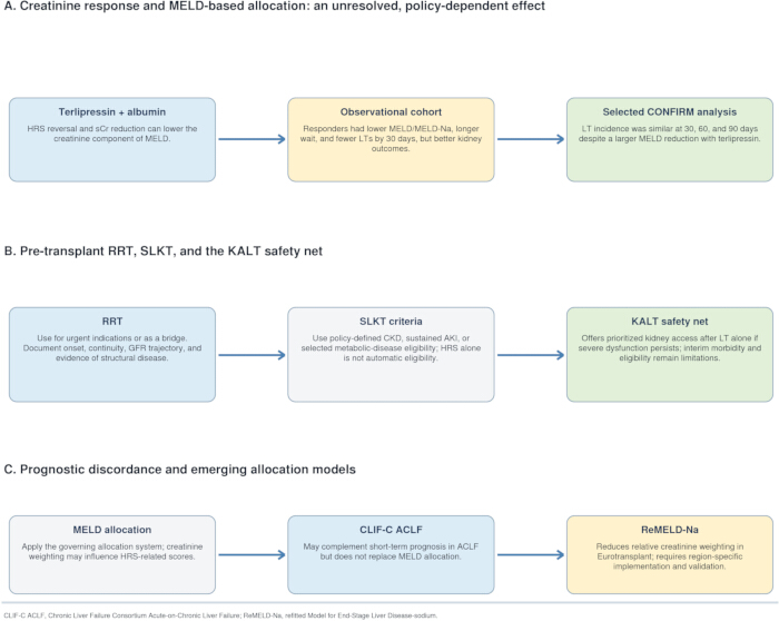 MELD allocation process diagram illustrating creatinine response, pre-transplant criteria, prognostic models.