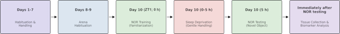 figure-introduction-1