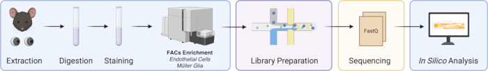 figure-results-1 figure-results-1