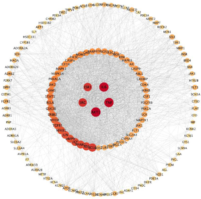 figure-results-2 Gene interaction network diagram with highlighted nodes for SRC, AKT1, TNF, IL6, ESR1 in red.