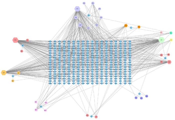 figure-results-3 Network analysis diagram; depicts complex data connectivity, nodes, and interactions visualization.