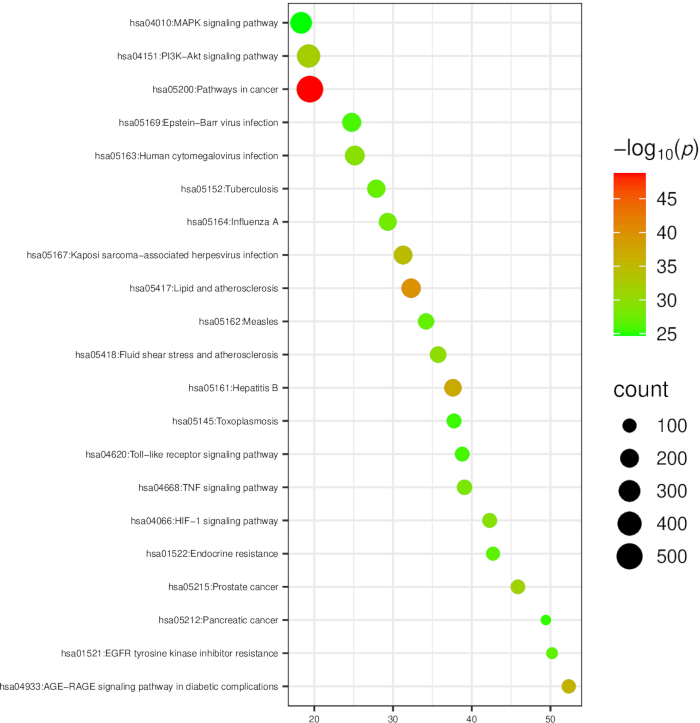 figure-results-5 Pathway enrichment analysis, bubble chart; KEGG pathways, significance log scale, data visualization.
