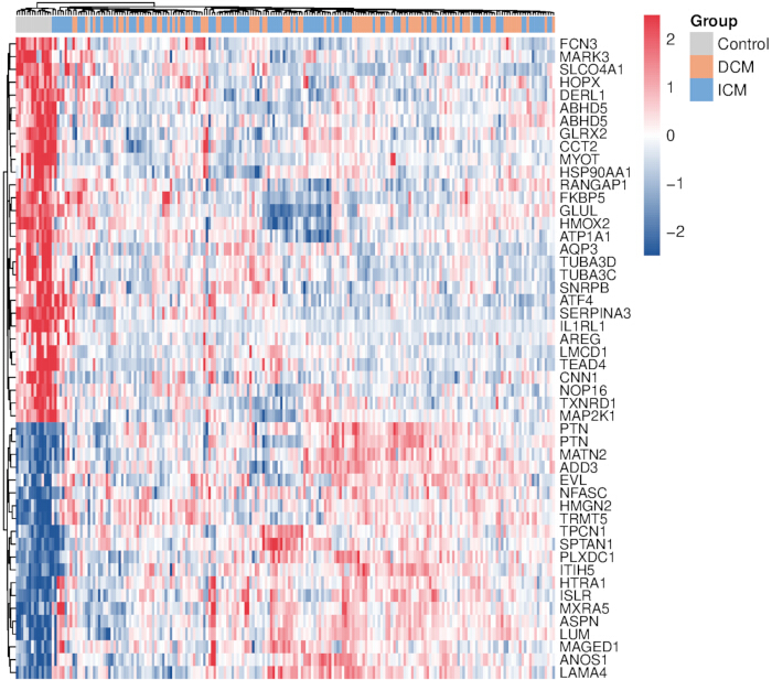 figure-results-7 Gene expression heatmap, hierarchical clustering, diagram, shows control vs diseased groups, data analysis.