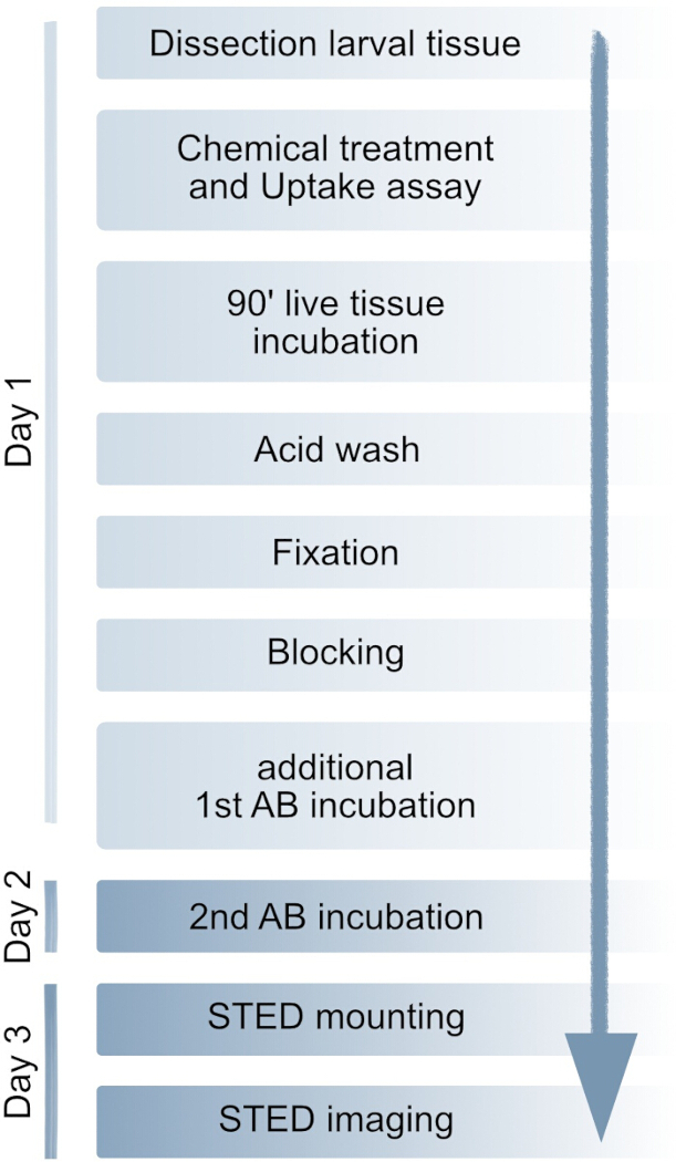 figure-results-1
