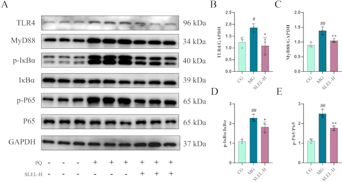figure-results-3 figure-results-3