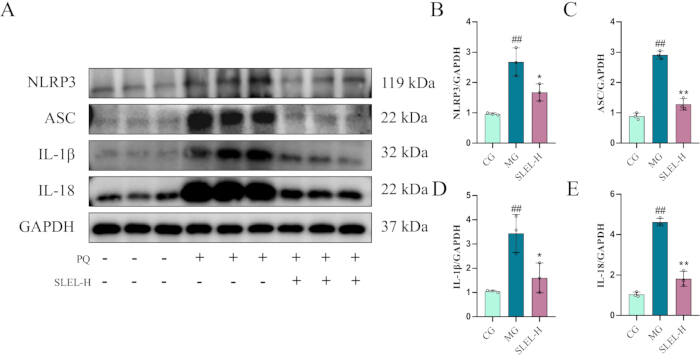 figure-results-4 figure-results-4