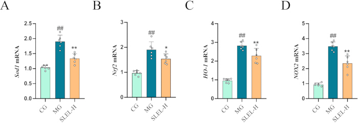 figure-results-5 figure-results-5
