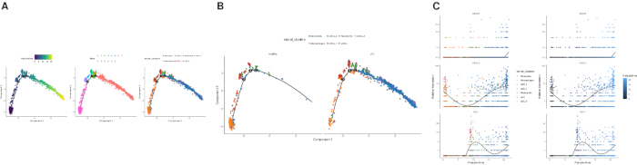 figure-results-10 光谱拟合图;组分关系数据分析;全局分析拟合结果。