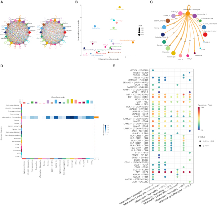 figure-results-11 蛋白质相互作用网络及相互作用强度;散点图和热图形式的数据结果。