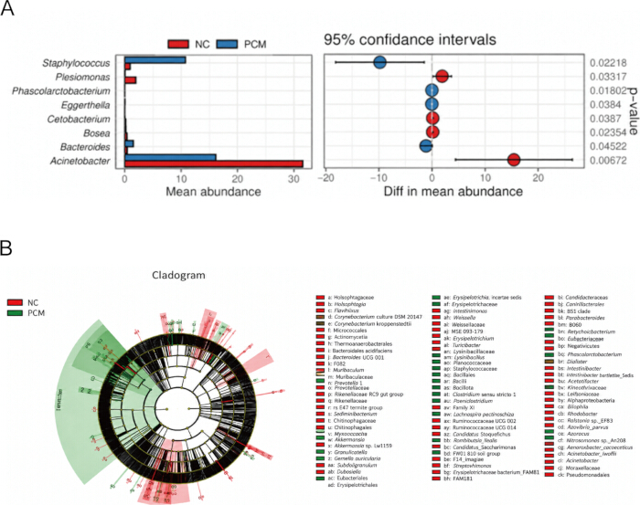 figure-results-3 Microbiome analysis; bar graph, cladogram; mean abundance, confidence intervals, taxonomy distribution.