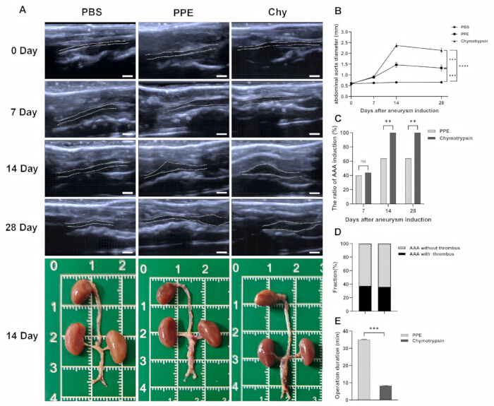 figure-results-2 figure-results-2