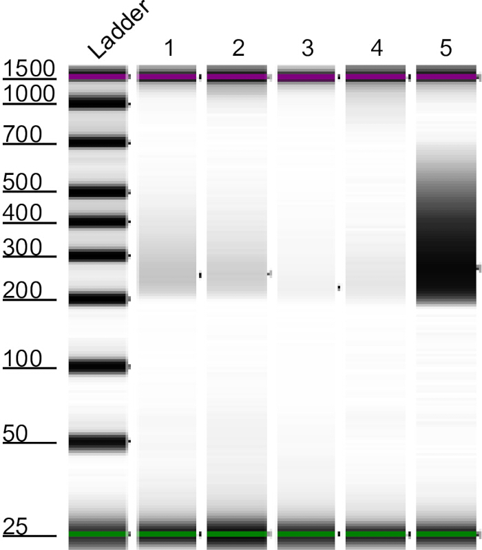 figure-results-2 figure-results-2