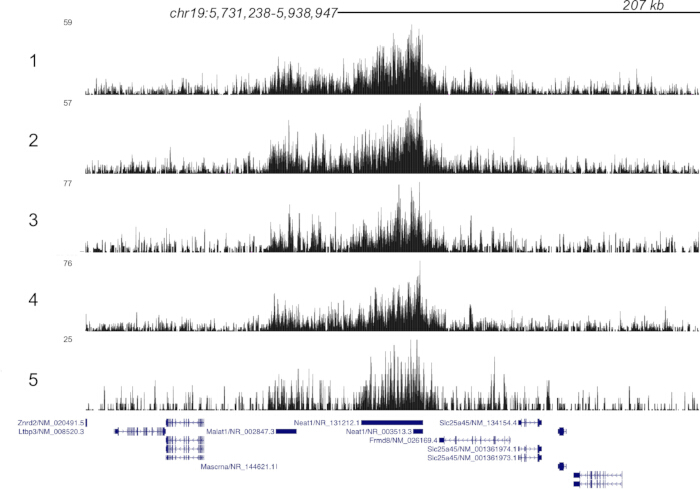 figure-results-3 figure-results-3