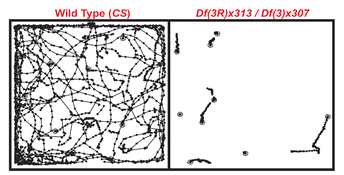 figure-protocol-1