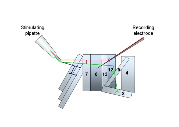 Neural stimulation diagram with pipette, electrode setup for electrophysiology experiment.