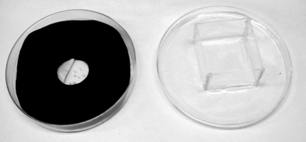 figure-protocol-2 Petri dish experiment setup; static equilibrium study using balanced force concepts; lab diagram.