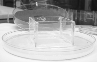 figure-protocol-3 Diffusion experiment setup in a petri dish, agar gel, chemical separation analysis.