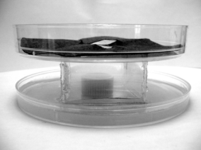 figure-protocol-4 Petri dish gravity filtration setup; static equilibrium; chemistry experiment apparatus.