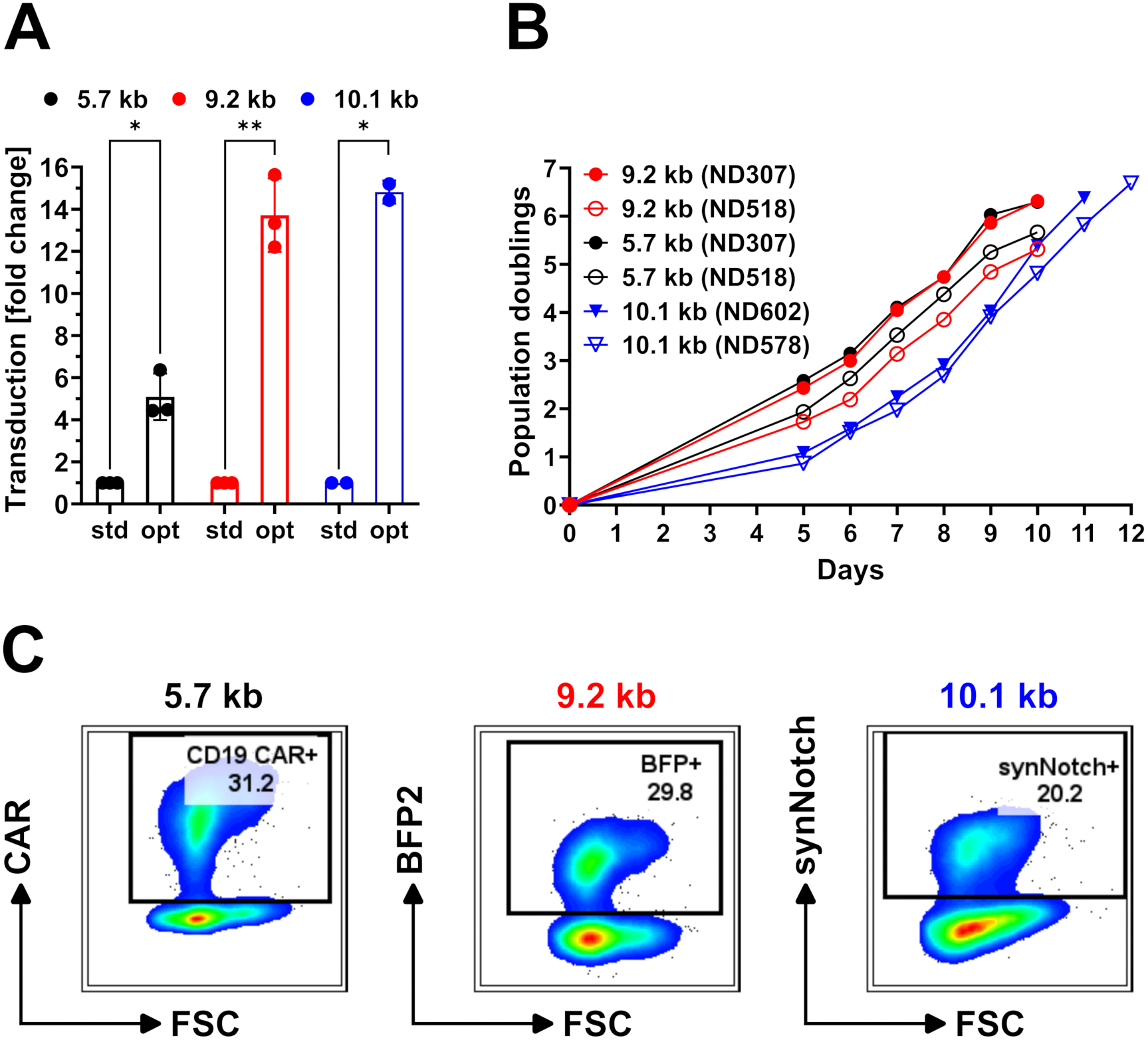 Cellules Kb Produzione efficiente di cellule T del recettore dell'antigene ...