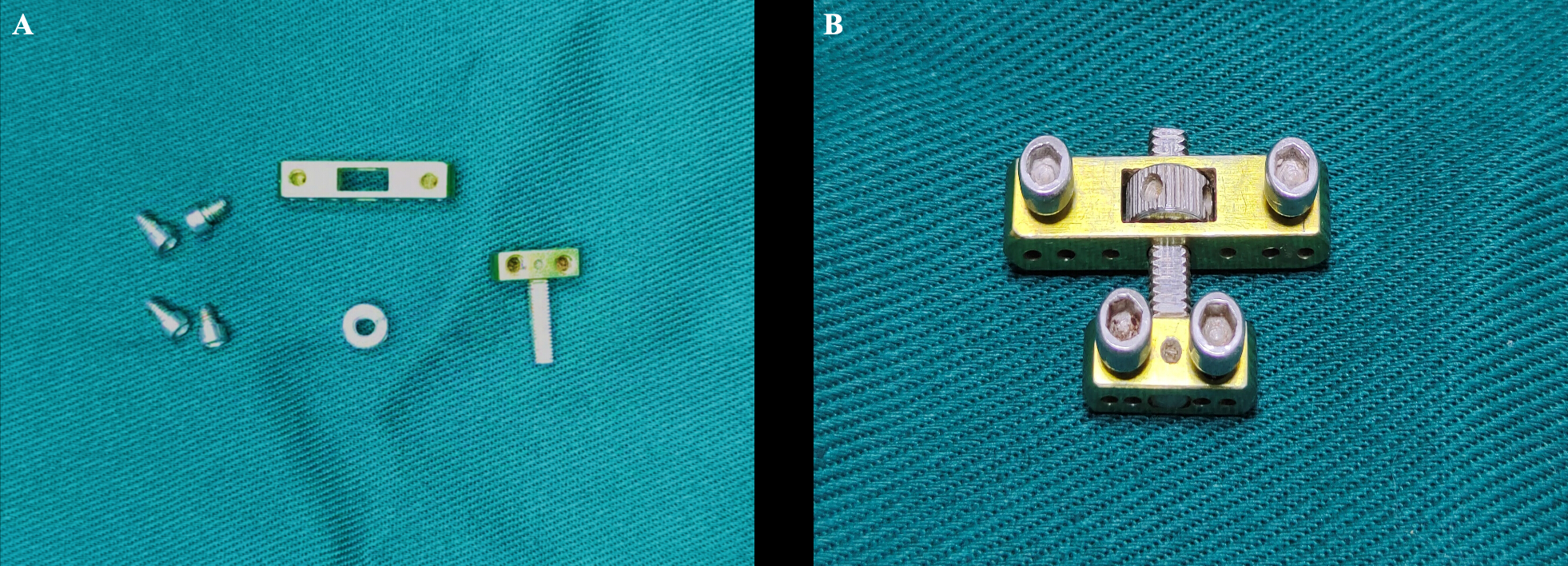A Rat Model of Tibial Cortex Transverse Transport for the Treatment of ...