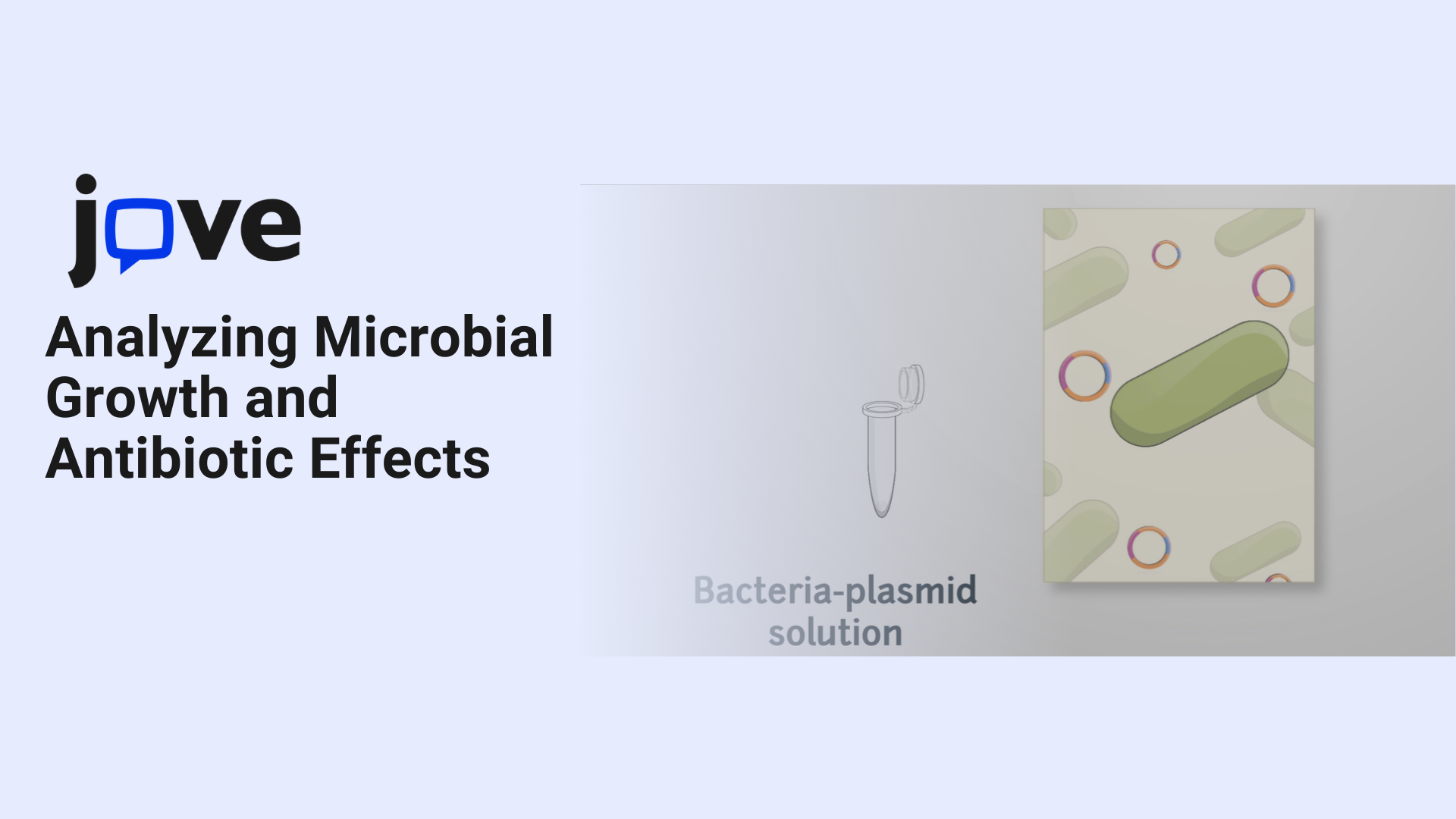 Analyzing Microbial Growth and Antibiotic Effects