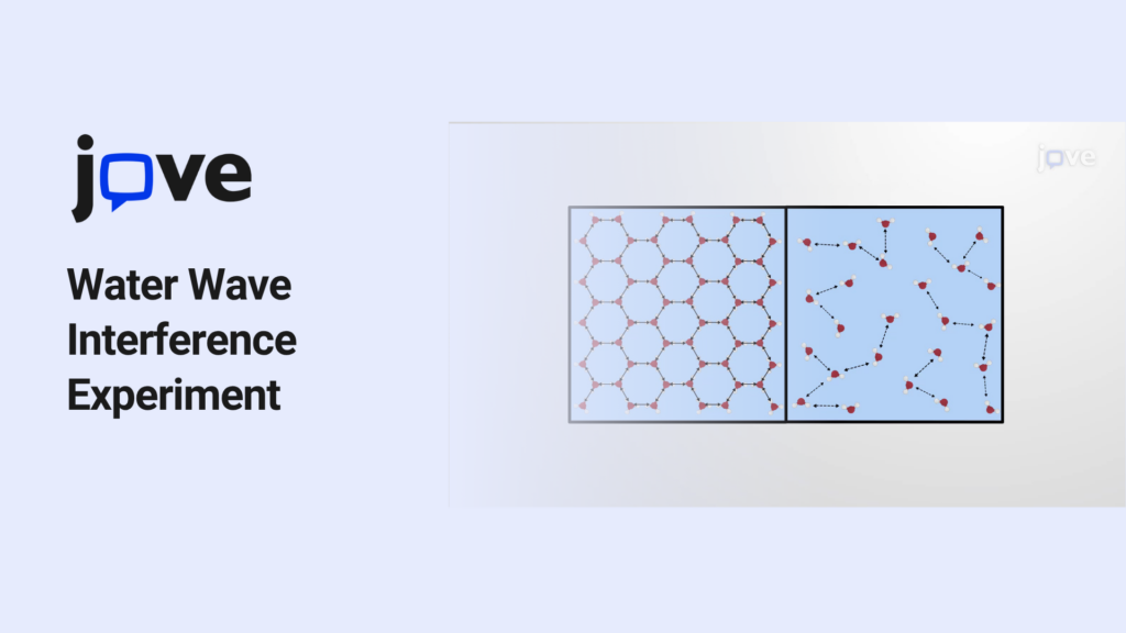 Wave Interference Experiment Classroom Guide | JoVE K12