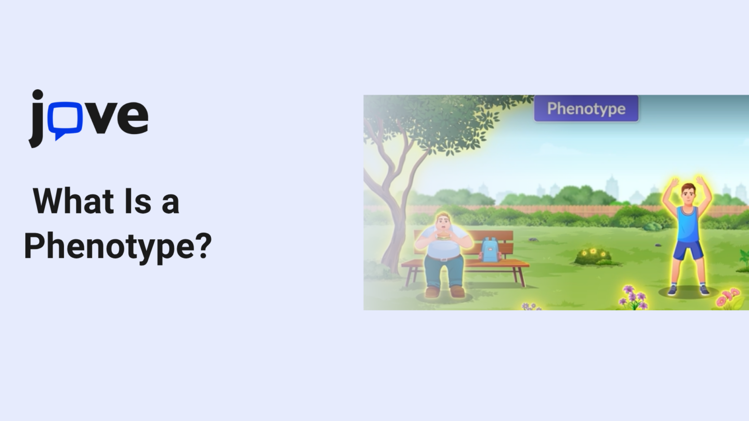 Penotype Example Phenotype Teaching Guide with Trait Examples | JoVE K12