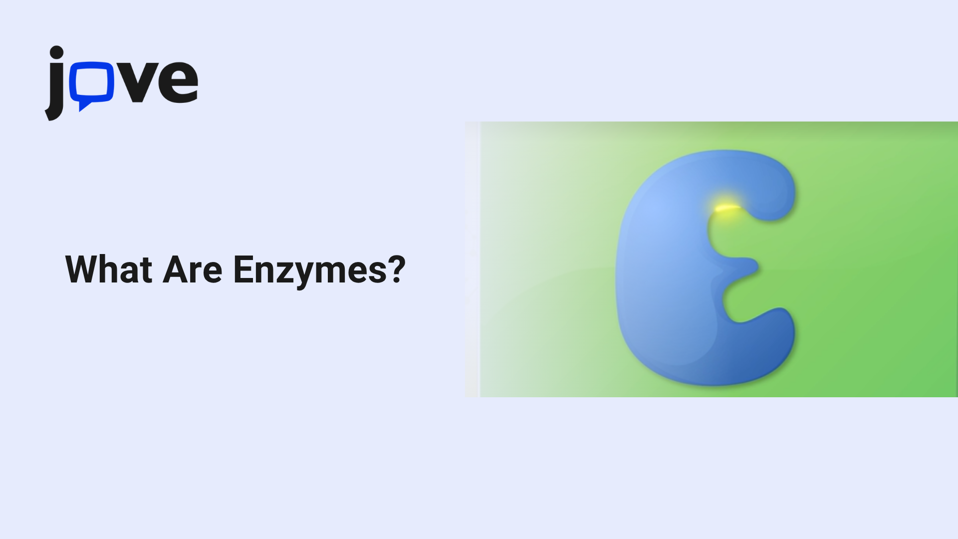 What Are Enzymes