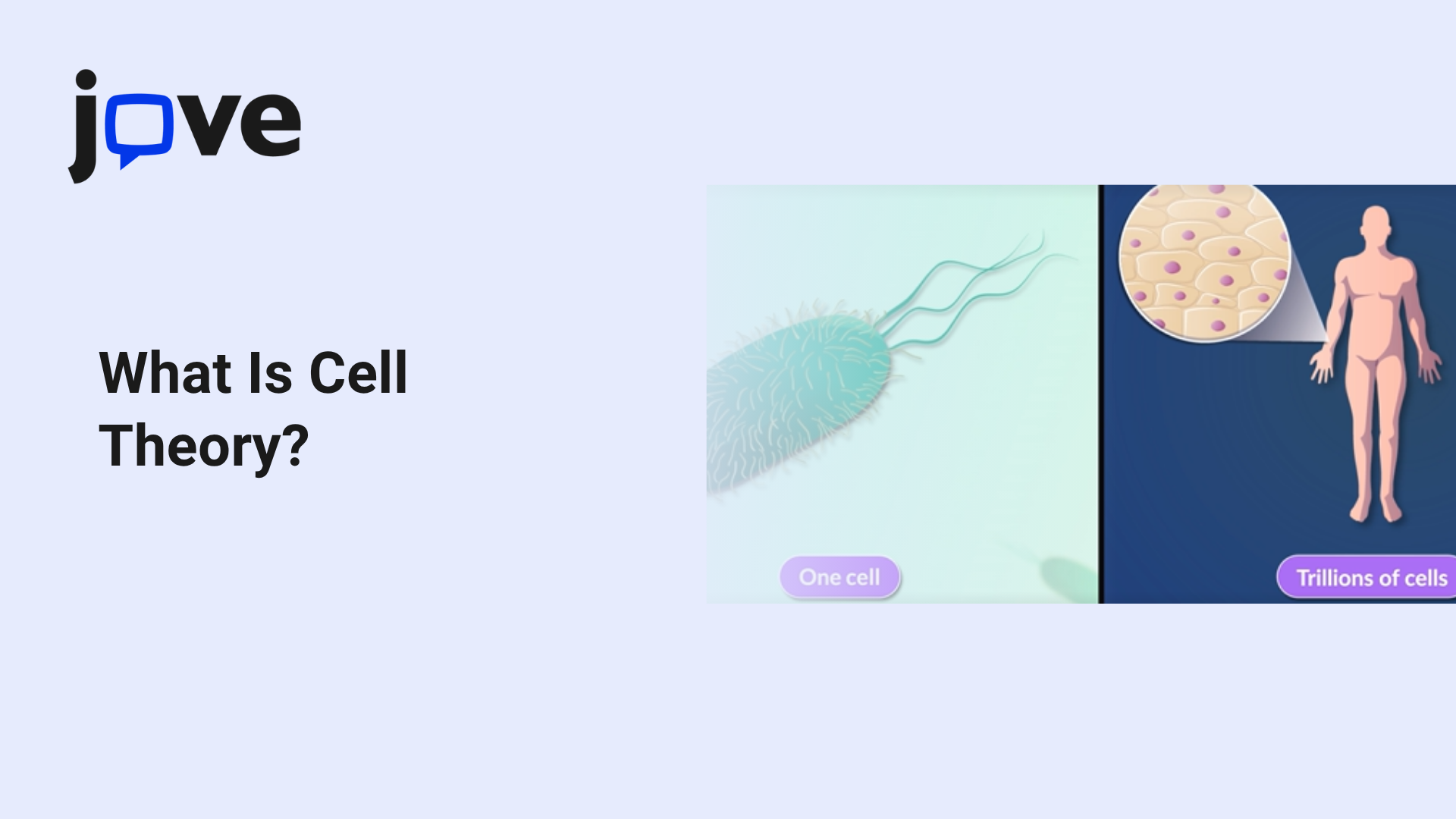What Is Cell Theory