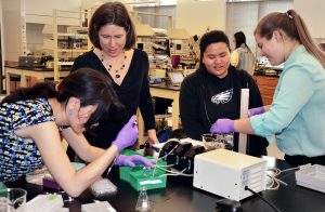 Due to the precise, hands-on nature of laboratory-focused courses, the flipped classroom method can be perfectly adapted to increase student success and understanding.