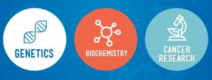 New Video Journal sections released in 2016: Biochemistry, Genetics, Cancer Research.