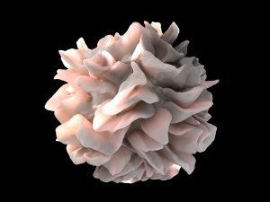 Artistic rendering of the surface of a human dendritic cell