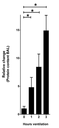 figure-protocol-1 Bar chart of protein content change over ventilation hours, indicating significant differences.