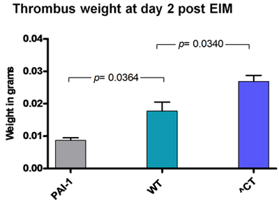 figure-protocol-2 Thrombus weight comparison, EIM, bar graph, PAI-1, WT, ^CT, statistical analysis, p-values.