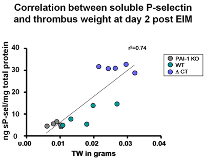 figure-protocol-4 Correlation chart showing P-selectin vs thrombus weight; data analysis of protein levels post EIM.
