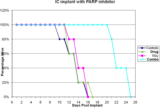 figure-protocol-5 IC implant survival curve with PARP inhibitor; line graph showing treatment effects over time.